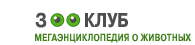 Зооклуб: собаки и щенки